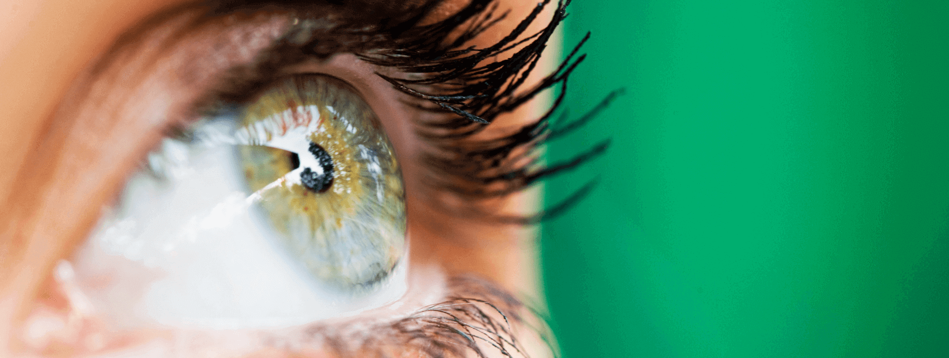 oeil accueil
